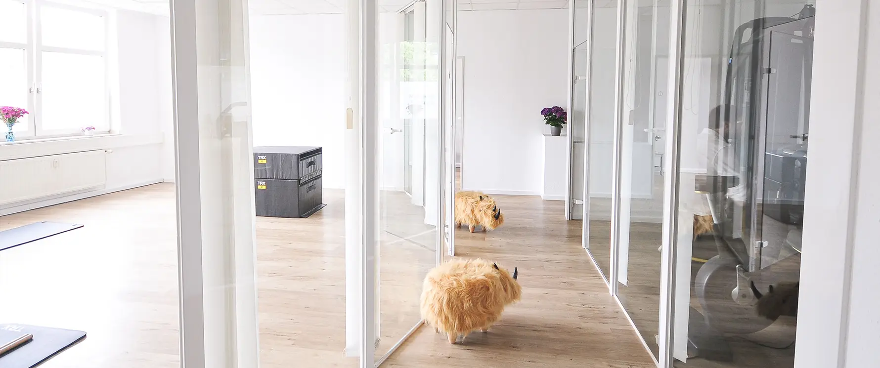 Heller Praxisflur mit Behandlungsräumen und Trainingsbereich in der Physiotherapiepraxis Gelenkich.